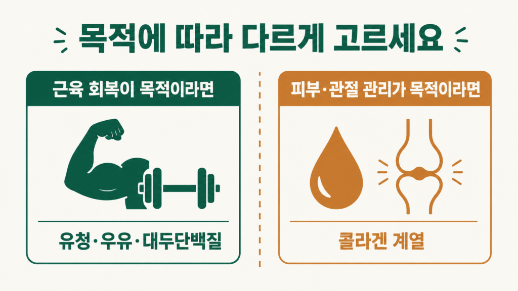 목적별 단백질 급원(유청·콜라겐) 선택 가이드 이미지