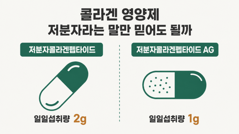 콜라겐 영양제 저분자라는 말만 믿어도 될까