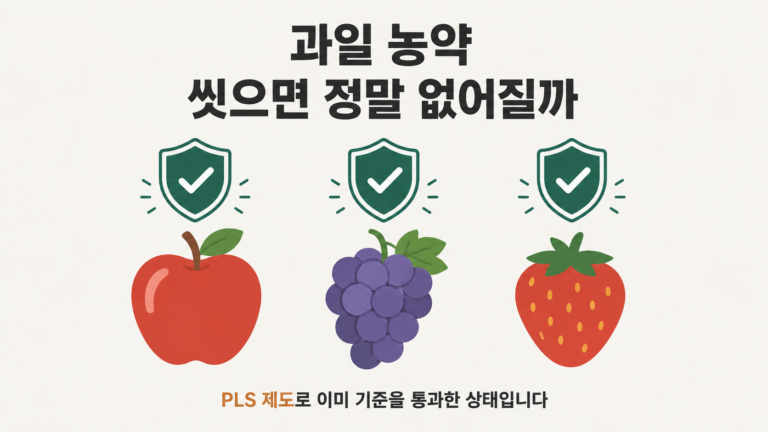 과일 농약 씻으면 정말 없어질까 대표 이미지